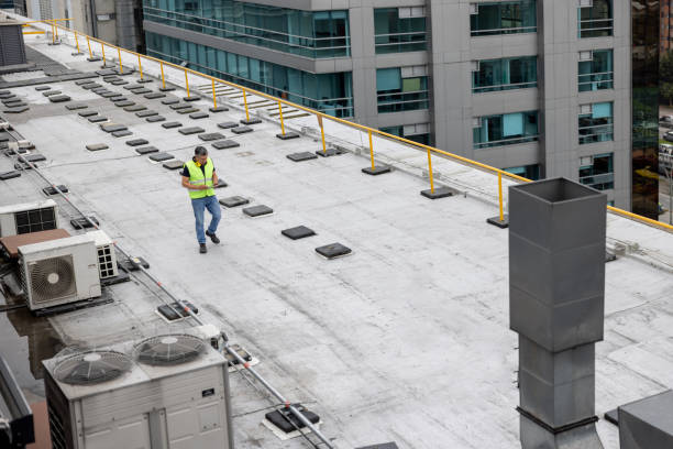 Best Rubber Roofing (EPDM, TPO)  in Tarpon Springs, FL