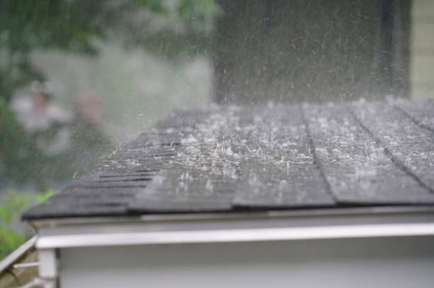 Tarpon Springs, FL Roofing Service Company