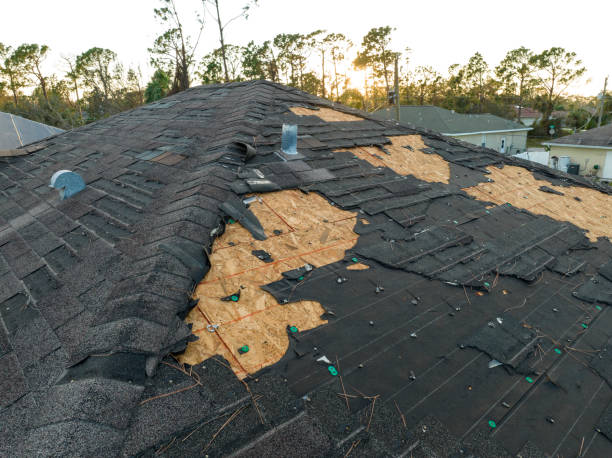Best Roof Maintenance and Cleaning  in Tarpon Springs, FL