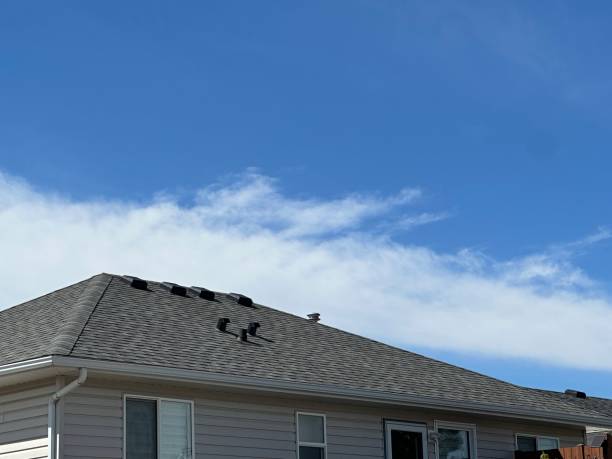 Best Sheet Metal Roofing  in Tarpon Springs, FL