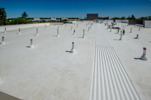 Best Skylight Installation and Repair  in Tarpon Springs, FL